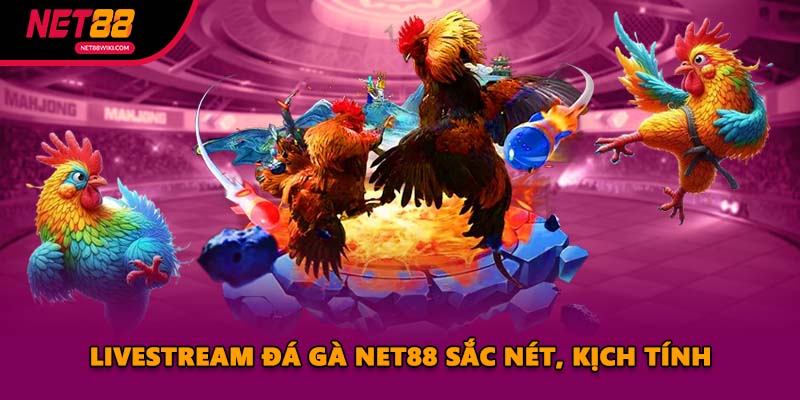 Livestream đá gà NET88 sắc nét, kịch tính